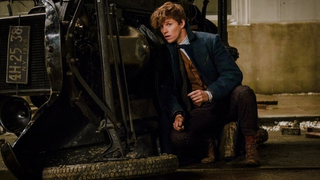 <i>Fantastic Beasts and Where to Find Them</i> es una historia maravillosa que no necesita de Harry Potter<em></em>